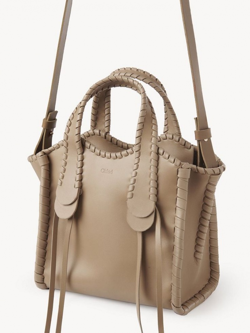 Chloe Small Mony Muleposer Brune | CHE-SR13400