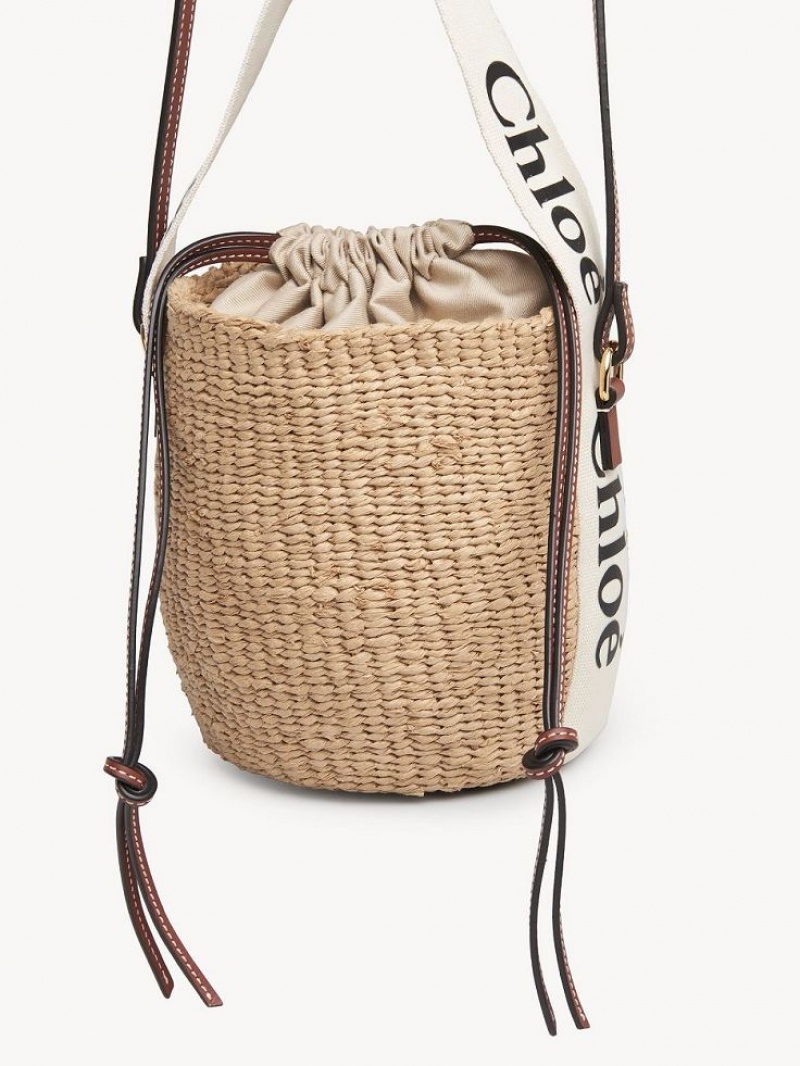 Chloe Small Woody Basket Crossbody Taske Hvide | CHE-SR13609