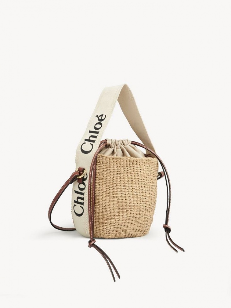 Chloe Small Woody Basket Crossbody Taske Hvide | CHE-SR13609