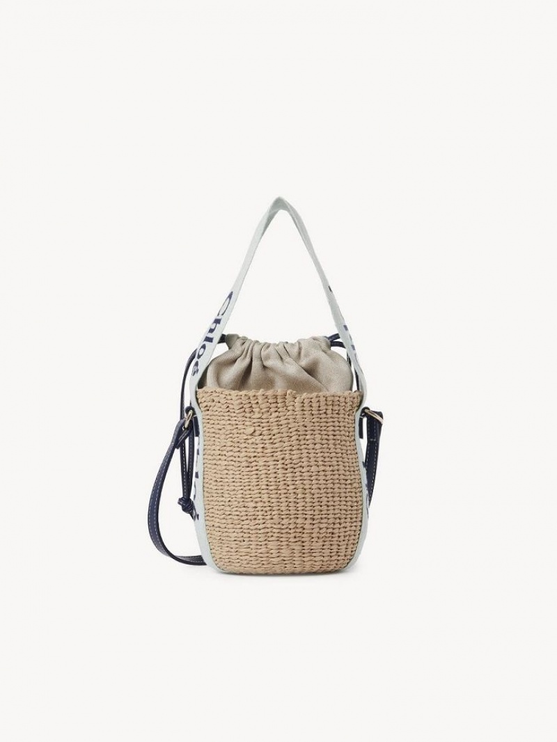 Chloe Small Woody Basket Crossbody Taske Grøn Blå | CHE-SR13617