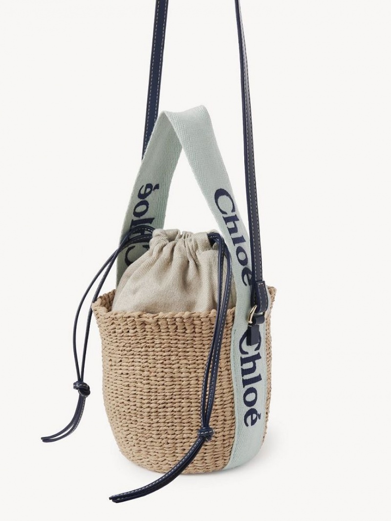 Chloe Small Woody Basket Crossbody Taske Grøn Blå | CHE-SR13617