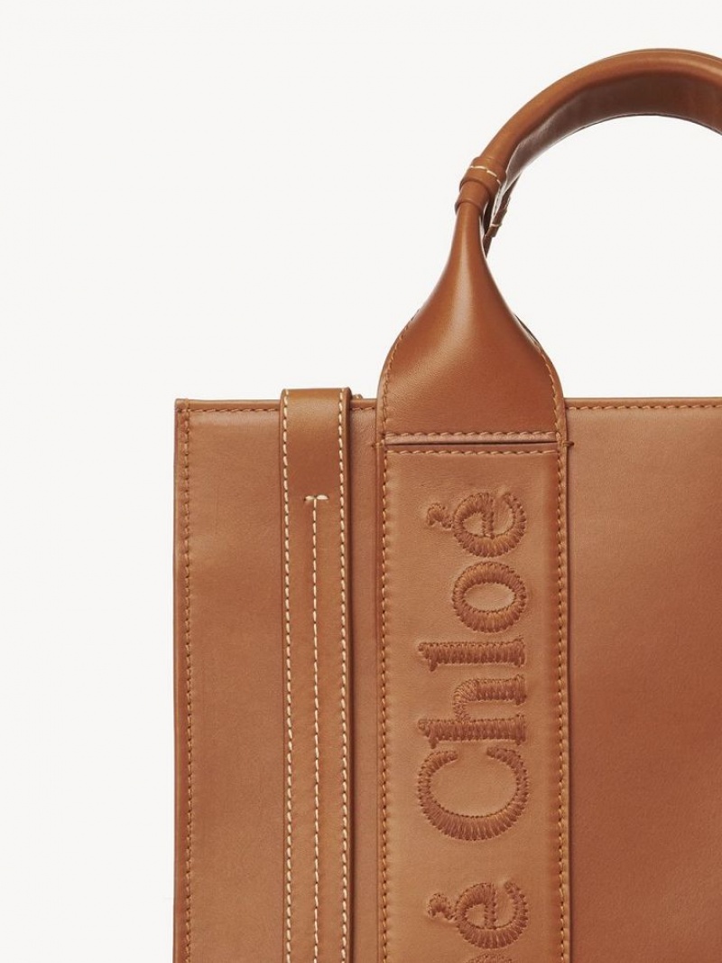 Chloe Small Woody Crossbody Taske Brune | CHE-SR13535