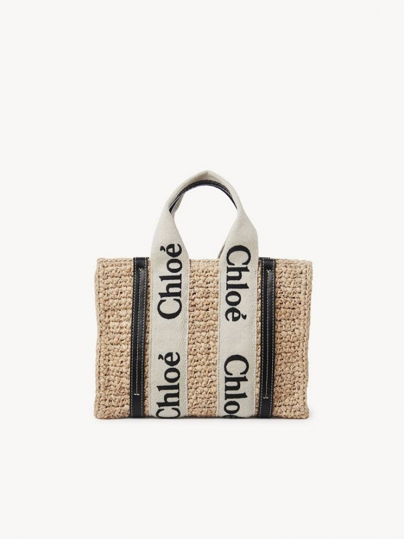 Chloe Small Woody Crossbody Taske Brune | CHE-SR13625