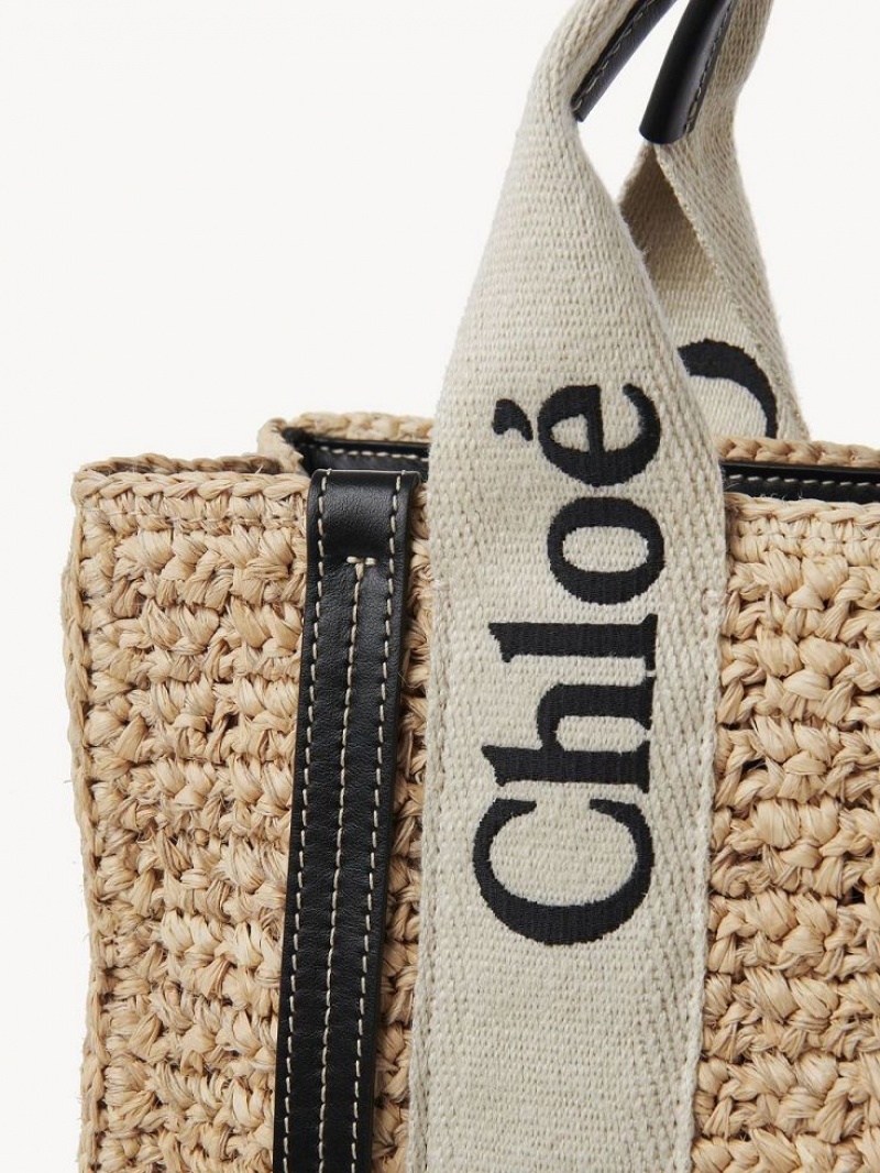 Chloe Small Woody Crossbody Taske Brune | CHE-SR13625