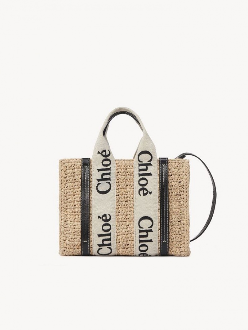 Chloe Small Woody Crossbody Taske Brune | CHE-SR13625