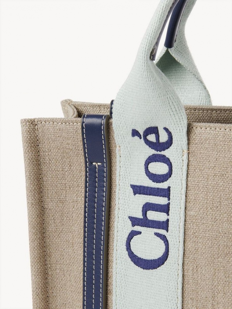 Chloe Small Woody Crossbody Taske Grøn Blå | CHE-SR13568