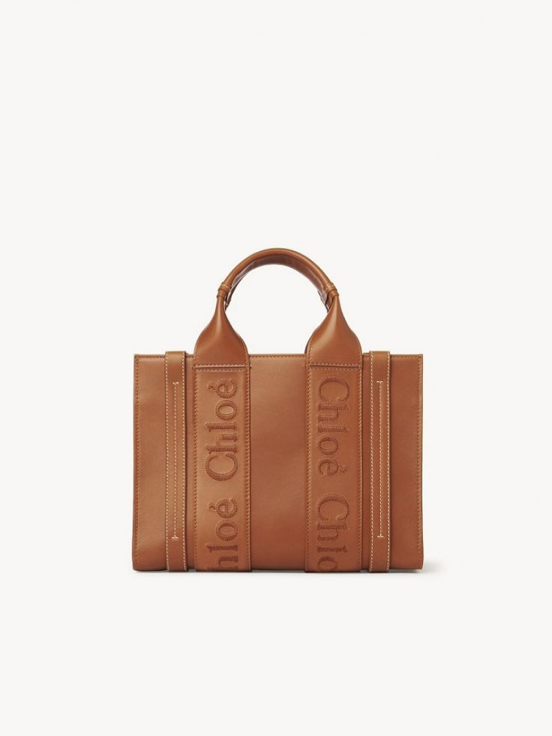 Chloe Small Woody Muleposer Brune | CHE-SR13345