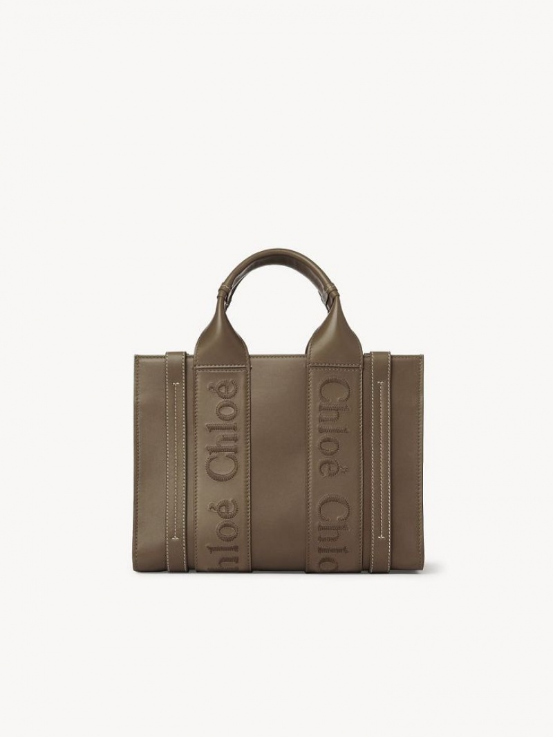 Chloe Small Woody Muleposer Grøn | CHE-SR13339