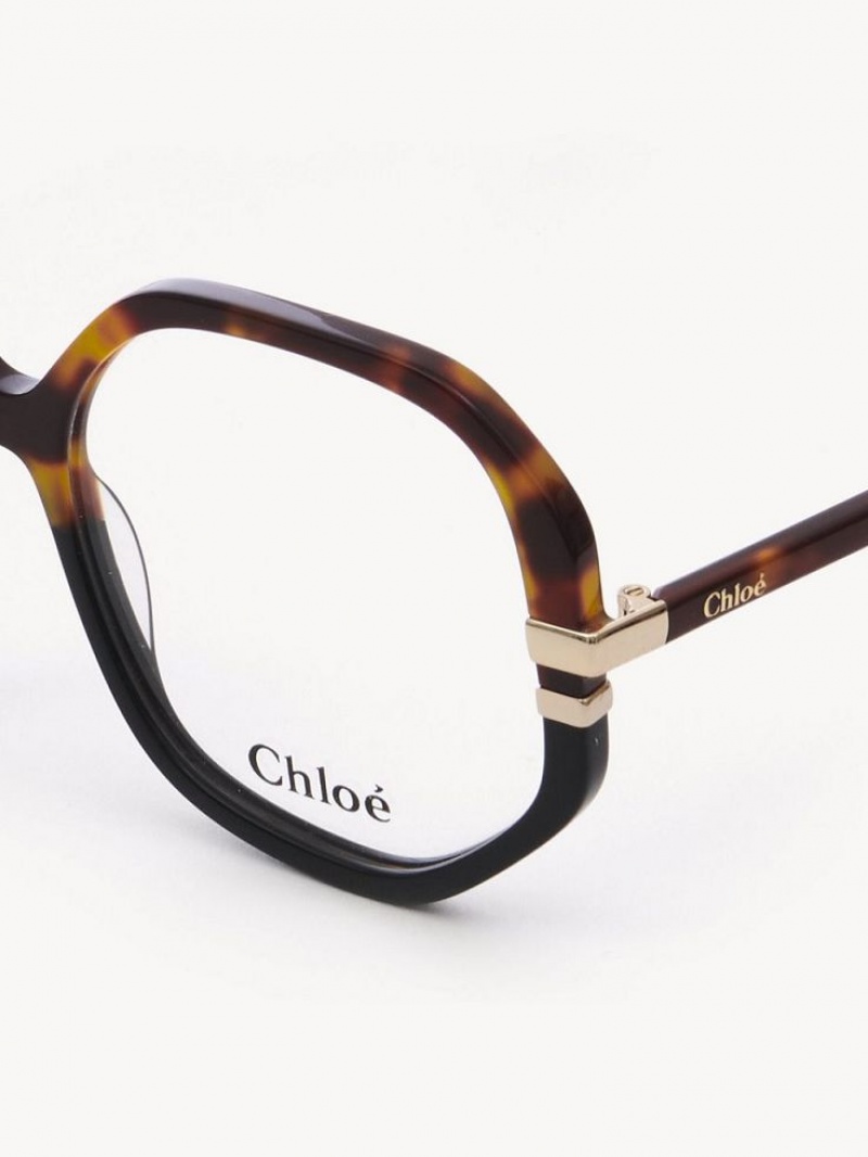 Chloe West Briller Havana | CHE-SR14584