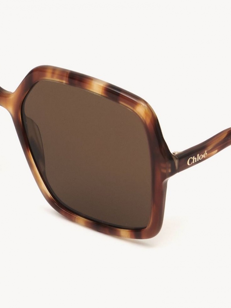 Chloe Zelie Solbriller Brune | CHE-SR14515